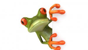 Stop Procrastinating: ‘Eat The Frog First’