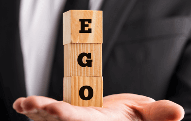 Big Ego Survival Guide